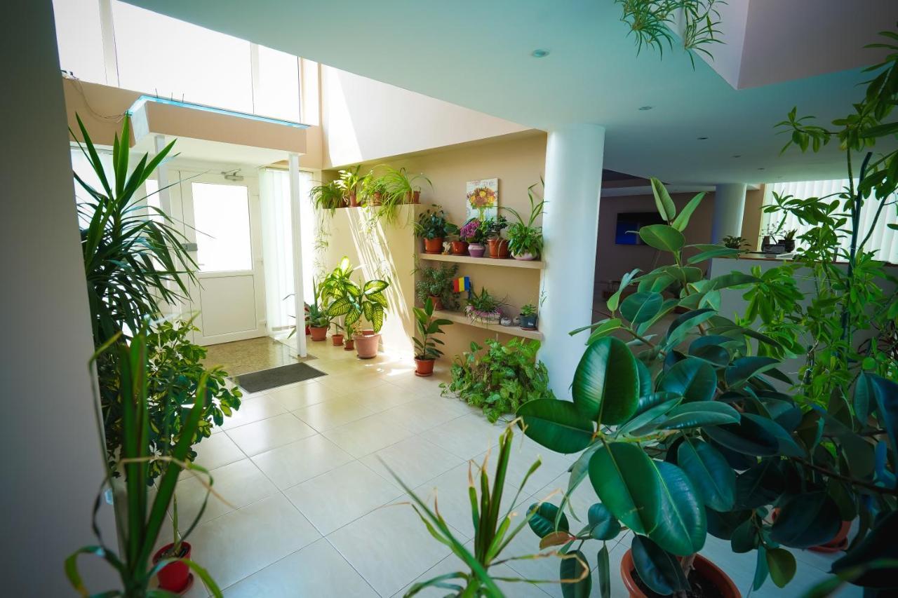 Pensiunea Dolce Hotel Timişoara